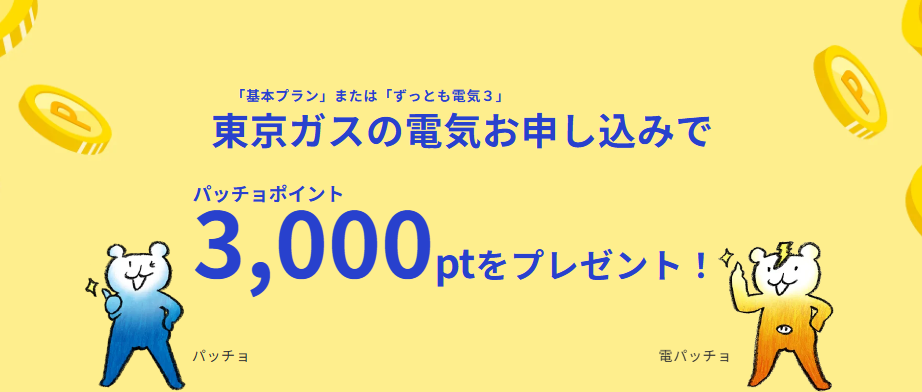 東京ガス_パッチョポイント3,000円CP